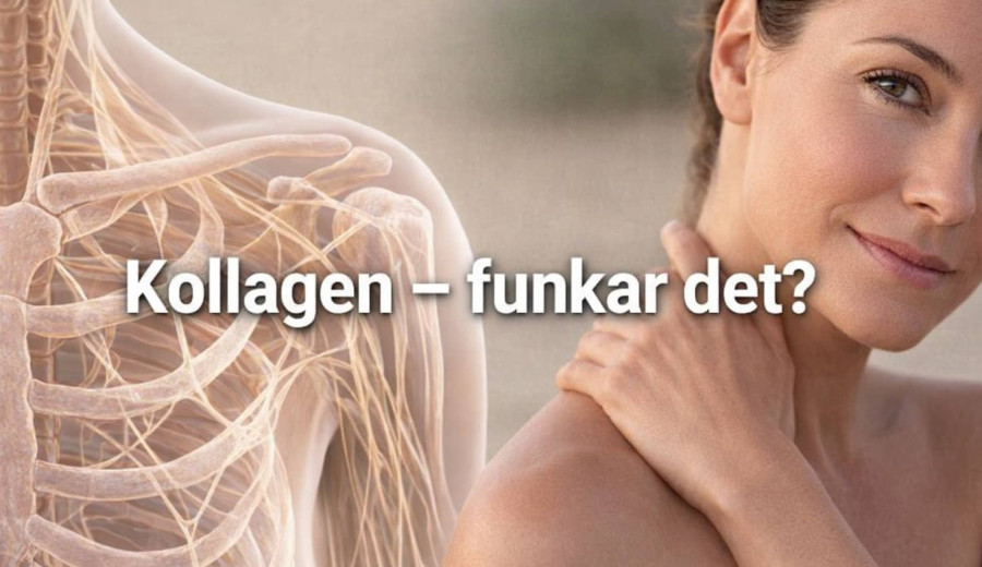 Kollagen – fungerar det eller är det mest marknadsföring? (Guide)