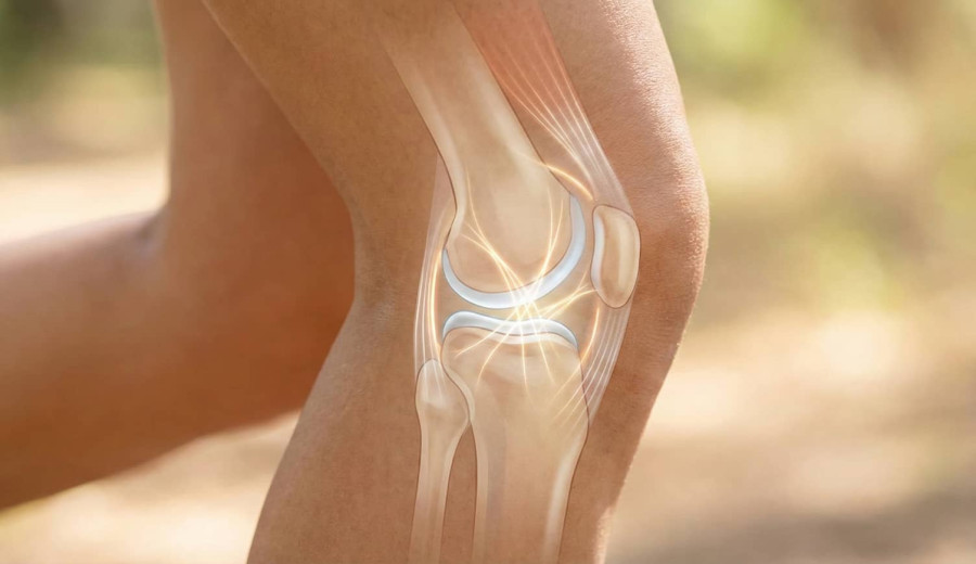 Kollagen för leder och brosk - så fungerar det i kroppen