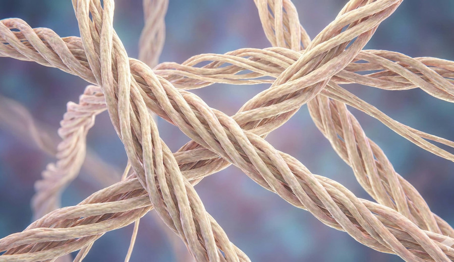 Vad är kollagen? En tydlig förklaring av ett ofta missförstått begrepp