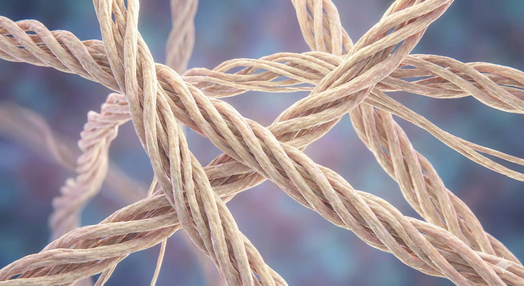 Illustration av kollagenfibrer