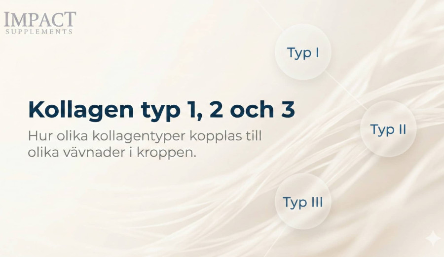 Kollagen typ I,II och III - vad betyder det egentligen?