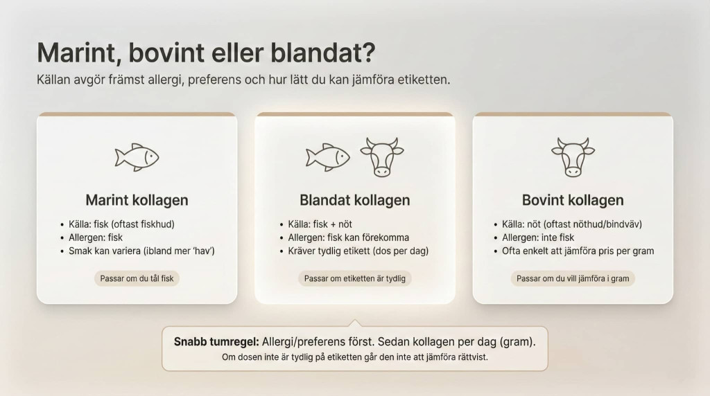 Skillnader och likheter mellan marint och bovint kollagen
