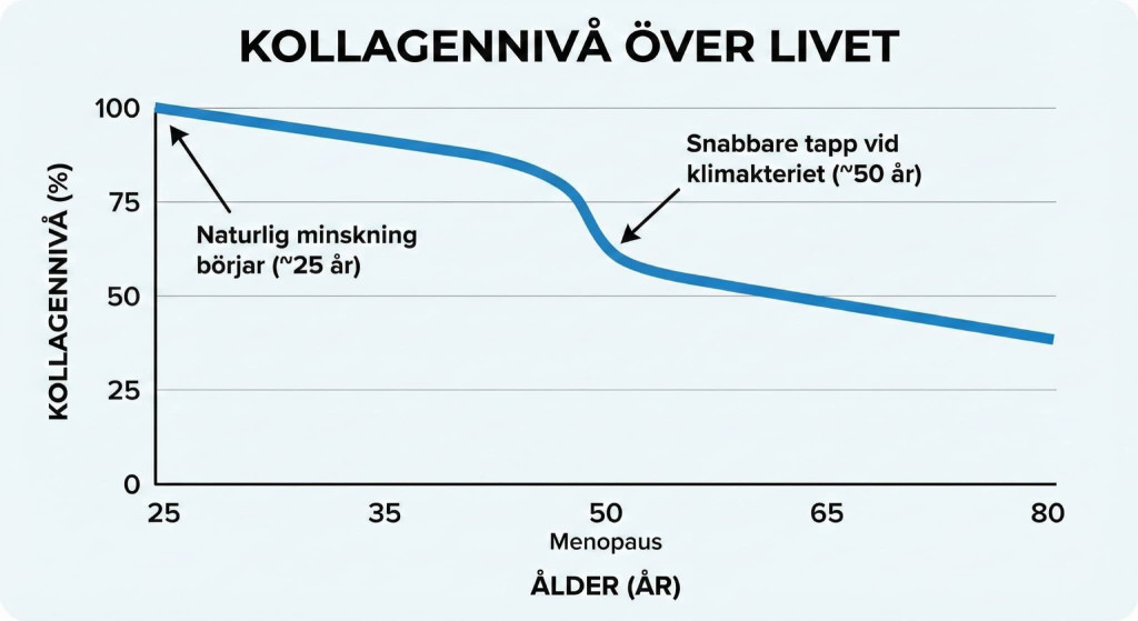 Graf som visar generellt kollagentapp från 25 års ålder